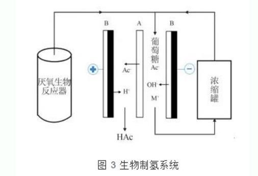 海洋之神_官方网站_首页7528