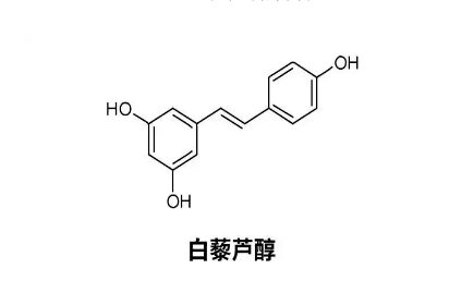 海洋之神_官方网站_首页7887