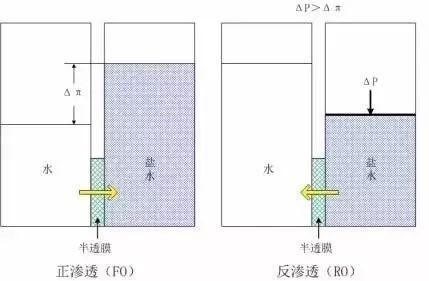 海洋之神_官方网站_项目6621