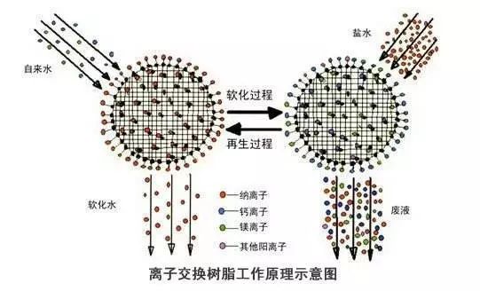 海洋之神_官方网站_项目3164