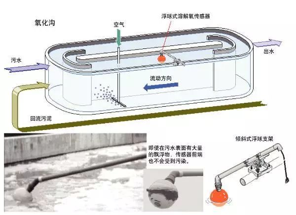 海洋之神_官方网站_项目4622