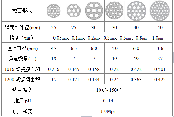 海洋之神_官方网站_项目9979