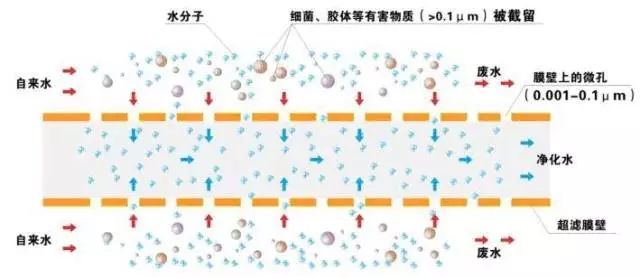 海洋之神_官方网站_项目5852