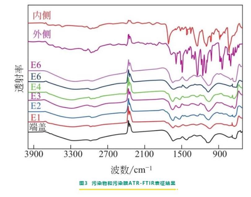 海洋之神_官方网站_产品2296