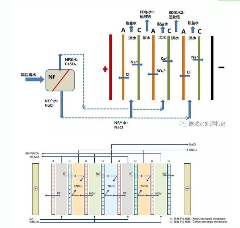 海洋之神_官方网站_产品6716